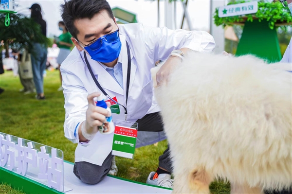 京東健康-寵物健康攜手福來恩，專業(yè)守護(hù)，助力愛寵化身“撒野英雄”